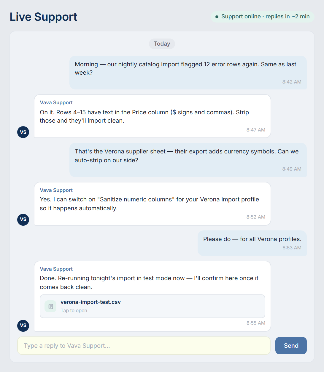 In-app live support conversation where the Vava team diagnoses a failing catalog import and fixes the import profile.